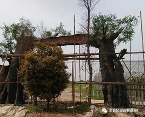 河南假樹大門的優(yōu)勢,假樹大門的優(yōu)勢有哪些