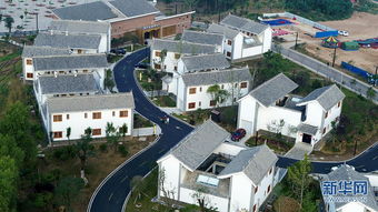 秦嶺深處的音樂(lè)小鎮(zhèn) 彩色花海中的景觀藝術(shù)交融