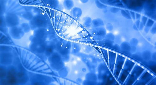 中國首例正序生物堿基編輯藥物成功治愈外籍患者，開創(chuàng)基因治療新紀(jì)元