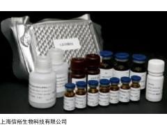 Cyclin-D2檢測試劑盒(小鼠) | 上海信裕生物科技供應(yīng)產(chǎn)品